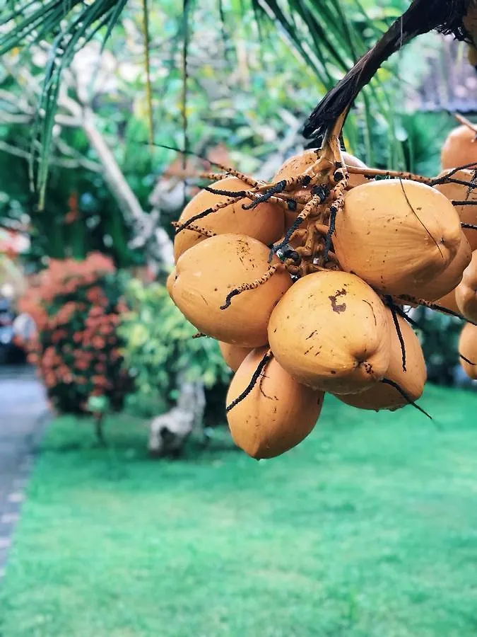 El Homestay Bali Nusa Dua   Nusa Dua (Bali)